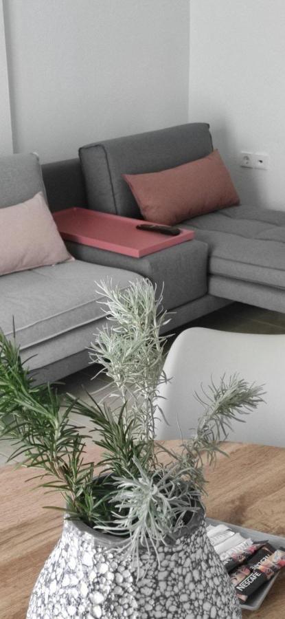 أوليمبياذا Elena Apartments المظهر الخارجي الصورة